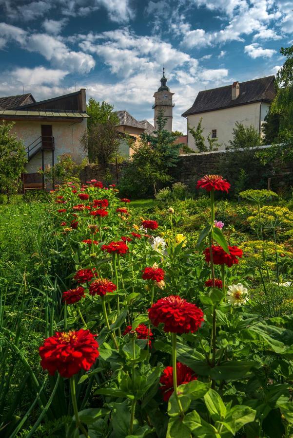 Penzion Borievka Hotel Попрад Екстериор снимка